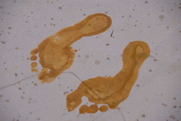 2006 tabor Attis Calypso 52